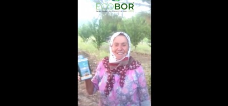ECOBOR - Orhangazi Üreğil Köyü