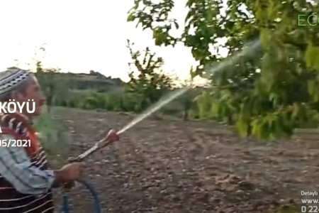 ECOBOR - Zengin Mineralli Bor Bileşenli Sıvı Gübre - Fadıl Köyü, Kiraz Ağacı Uygulaması