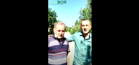 ECOBOR - Zeytin Uygulaması - Öncesi ve Sonrası - Kaymakoba - Mudanya - Bursa