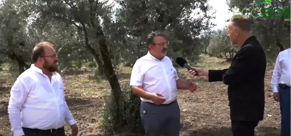 ECOBOR MUCİZESİ - ZEYTİN UYGULAMASI MUDANYA ÜLKÜ MAHALLESİ ECOBOR MUCİZESİ - ZEYTİN UYGULAMASI MUDANYA ÜLKÜ MAHALLESİ