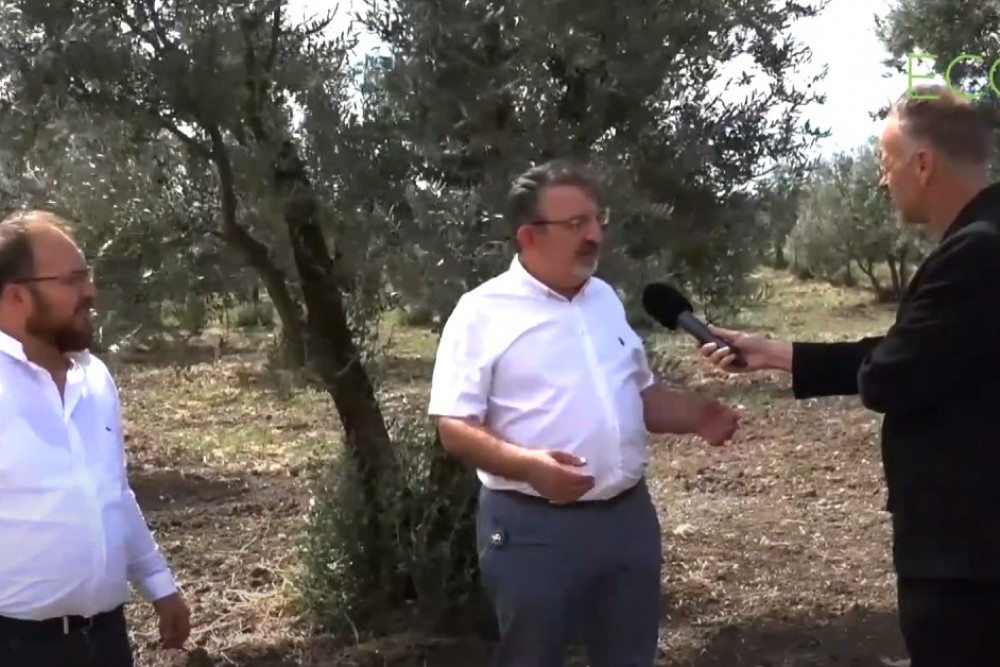 ECOBOR MUCİZESİ - ZEYTİN UYGULAMASI MUDANYA ÜLKÜ MAHALLESİ