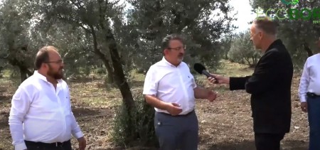 ECOBOR MUCİZESİ - ZEYTİN UYGULAMASI MUDANYA ÜLKÜ MAHALLESİ