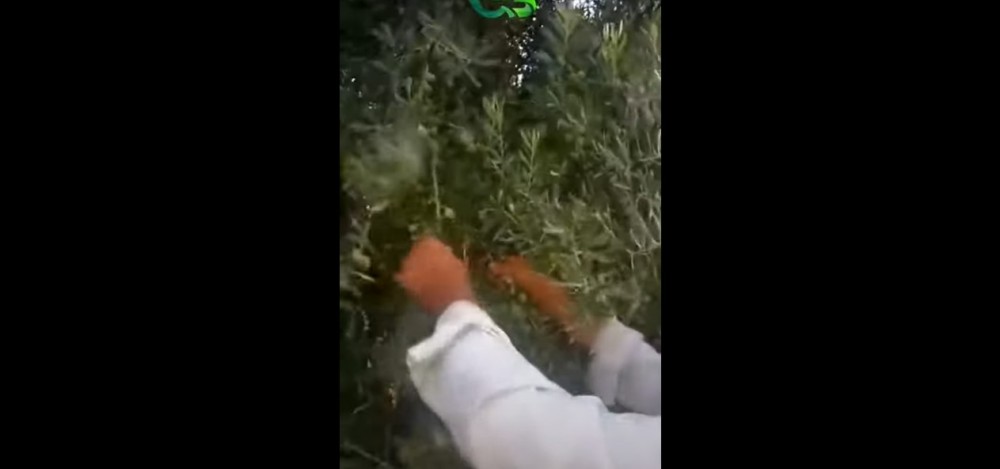 ECOBOR İle Sizde Değişime Şahit Olun