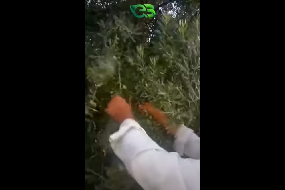 ECOBOR İle Sizde Değişime Şahit Olun