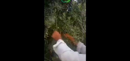ECOBOR İle Sizde Değişime Şahit Olun