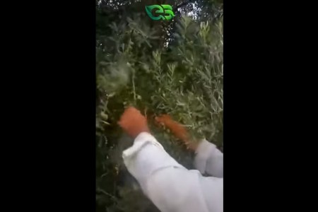 ECOBOR İle Sizde Değişime Şahit Olun