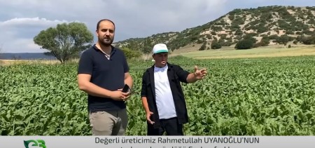 ECOBOR'UN PANCARDAKİ FARKI!