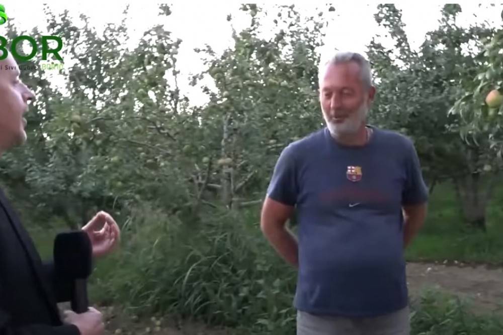 ECOBOR'UN SOĞUKTAN ZARAR GÖRMÜŞ ARMUT AĞAÇLARINA ETKİSİ