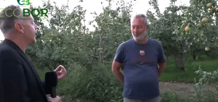 ECOBOR'UN SOĞUKTAN ZARAR GÖRMÜŞ ARMUT AĞAÇLARINA ETKİSİ