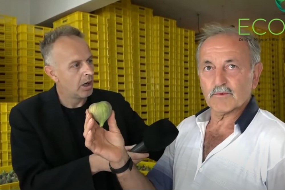 ECOBOR'UN İNCİR AĞAÇLARINDA Kİ ETKİSİ