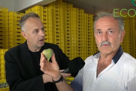 ECOBOR'UN İNCİR AĞAÇLARINDA Kİ ETKİSİ