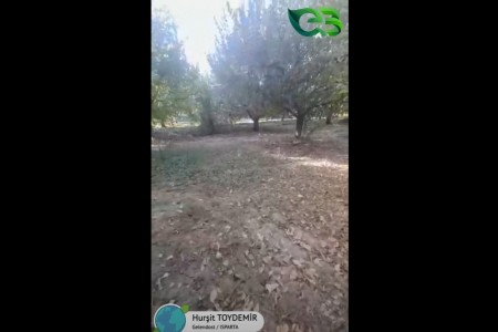 ELMA BAHÇESİNDE HASAT SONU UYGULAMASI