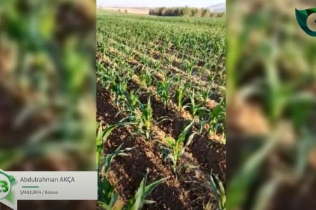 FARKI GÖRÜNCE TÜM TARLALARINA UYGULAMA KARARI ALAN ÜRETİCİMİZ!