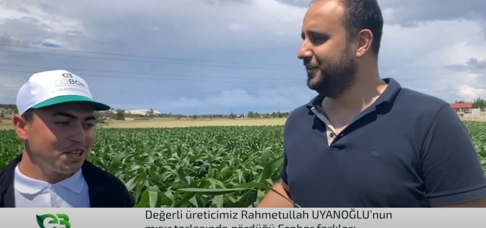 GEÇ EKİM MISIRDAKİ ECOBOR FARKI!