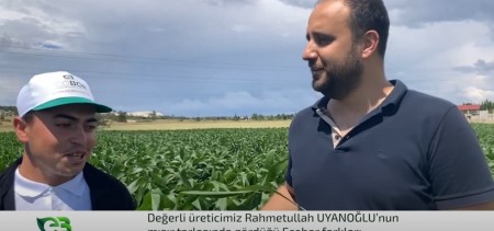 GEÇ EKİM MISIRDAKİ ECOBOR FARKI!