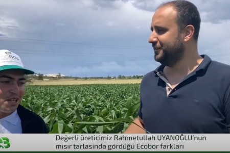 GEÇ EKİM MISIRDAKİ ECOBOR FARKI!