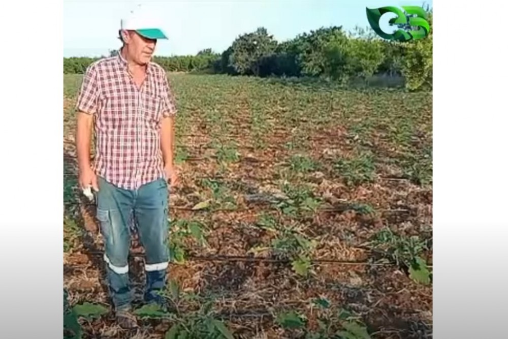 HENÜZ İLK UYGULAMA AMA FARK ORTADA!