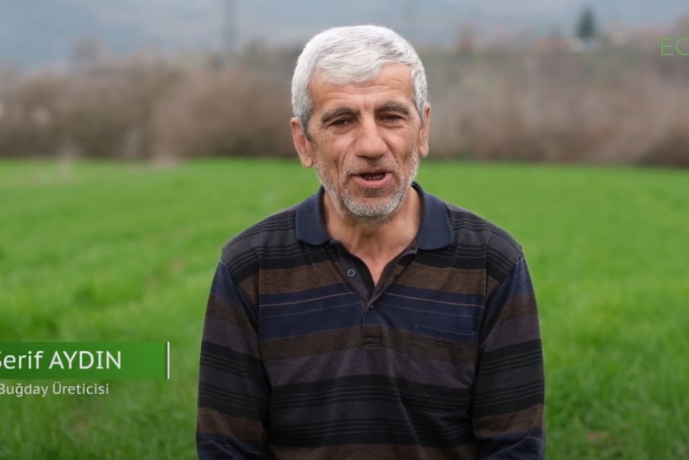 Mustafakemalpaşa Deveci Konağı Köyü Buğday