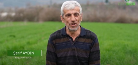Mustafakemalpaşa Deveci Konağı Köyü Buğday