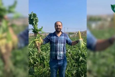 Pancar ve Mısır Tarlasındaki Fark!