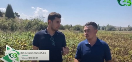 Patates Tarlasında ECOBOR!
