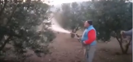 Tekirdağ Şarköy'de ECOBOR İle Zeytin Ağacı Uygulaması Üretici Memnuniyeti