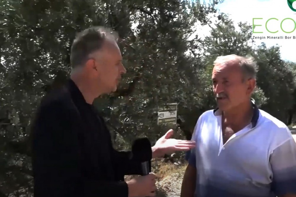 ZARAR GÖRMÜŞ ZEYTİN AĞAÇLARINDA ECOBOR ETKİSİ