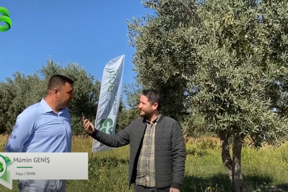 ZEYTİN BAHÇESİNDE ECOBOR FARKI!