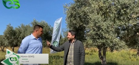 ZEYTİN BAHÇESİNDE ECOBOR FARKI!