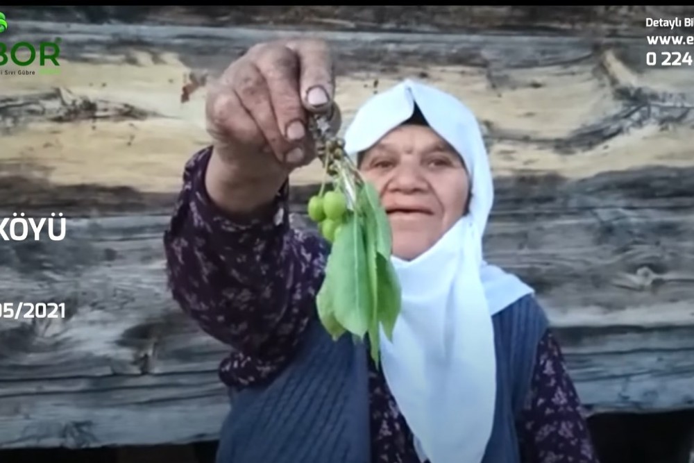 Zengin Mineralli Bor Bileşenli Sıvı Gübre - Fadıl Köyü