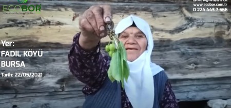 Zengin Mineralli Bor Bileşenli Sıvı Gübre - Fadıl Köyü
