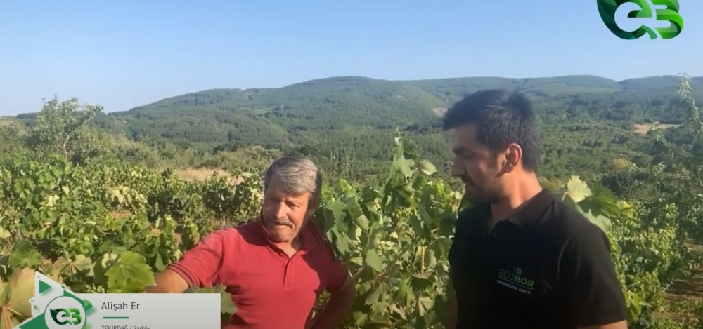 ÜZÜM BAĞIN'DA ECOBOR FARKI!