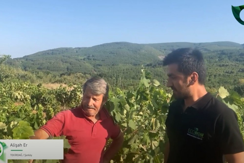 ÜZÜM BAĞIN'DA ECOBOR FARKI!