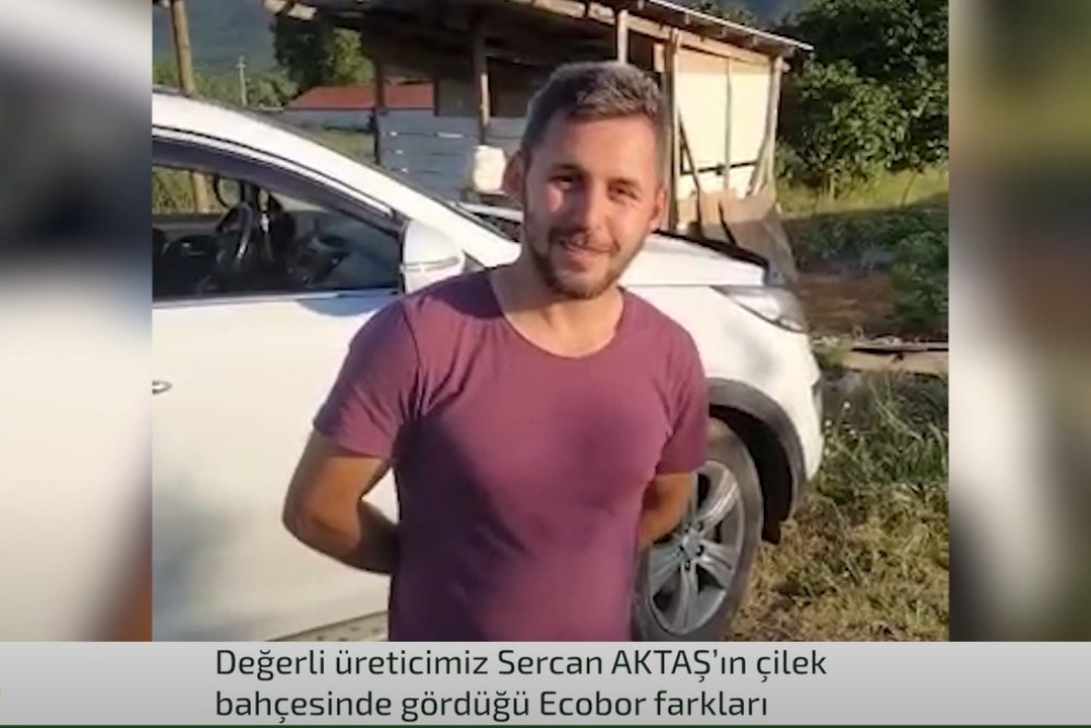 Çilek Üretiminde Ecobor Farkı!