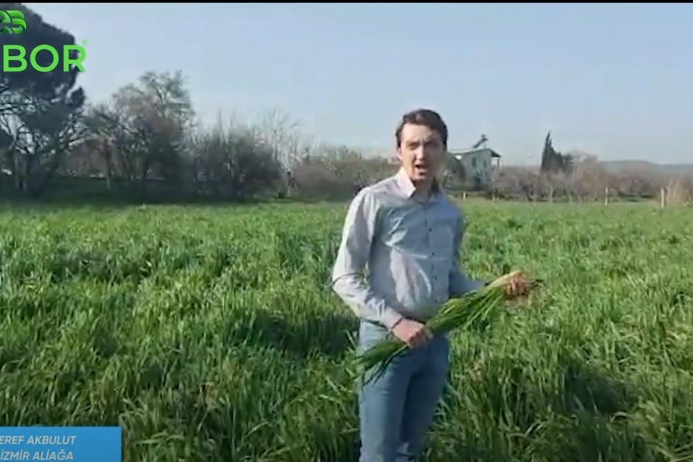 Ürünü Kullanan kullanıcılarımızdan gelen görüntüler