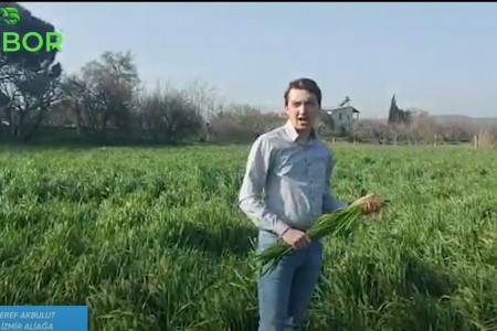 Ürünü Kullanan kullanıcılarımızdan gelen görüntüler