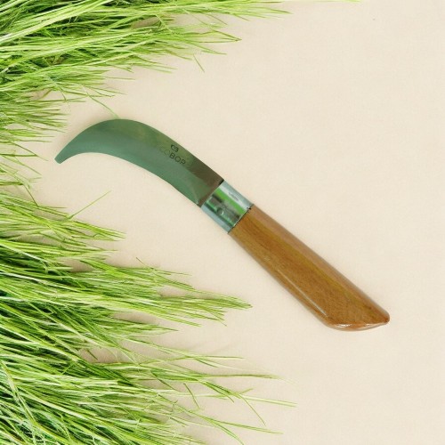 Aşı Bıçağı  Aşı Bıçağı