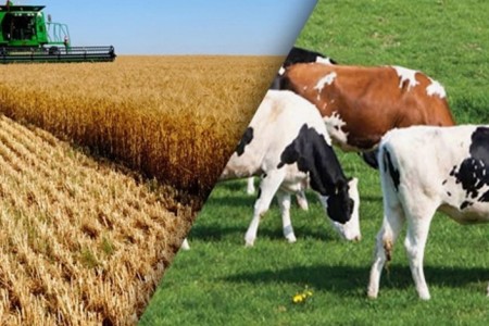 19. Uluslararası Tarım ve Hayvancılık Fuarı'ndayız